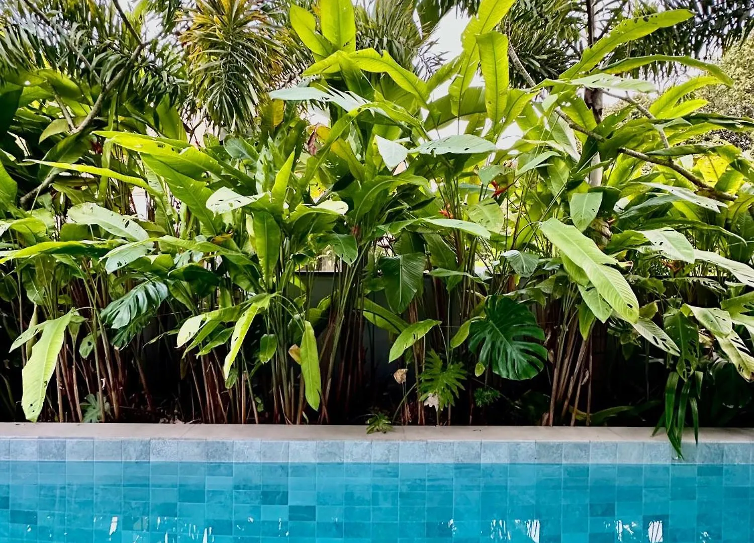 Jurere Beach Villa - Piscina Jacuzzi Sauna Флорианополис 0*,